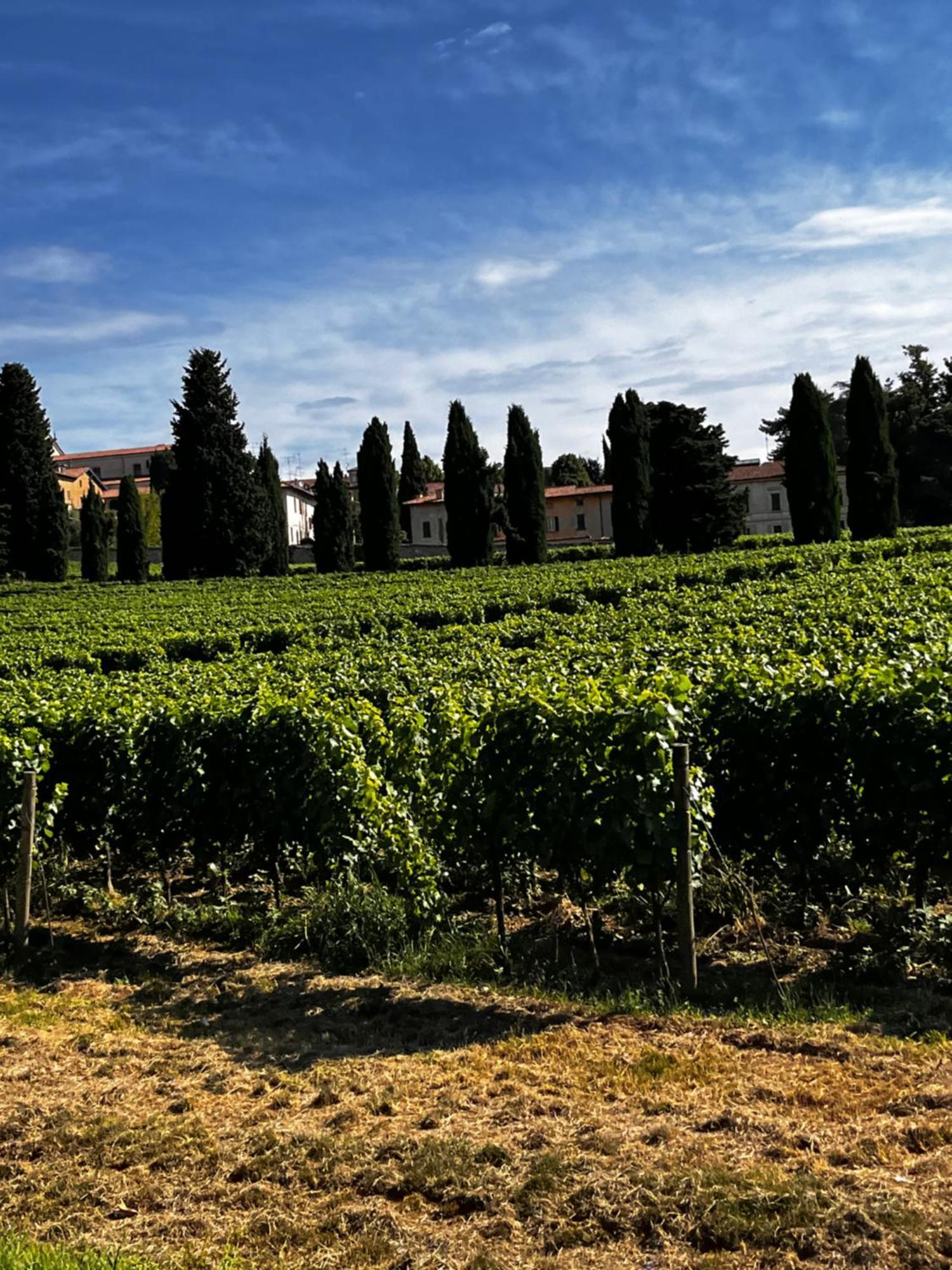 Anna Appartamento Vacanze Monticelli Brusati エクステリア 写真